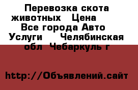 Перевозка скота животных › Цена ­ 39 - Все города Авто » Услуги   . Челябинская обл.,Чебаркуль г.